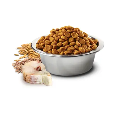 N&D Düşük Tahıllı Ocean Balıklı Küçük Irk Köpek Maması 7 KG - 2