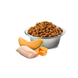 N&D Ocean Balkabaklı, Morina Balıklı ve Kavunlu Yavru Köpek Maması 12 kg - 3