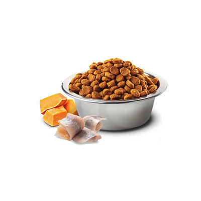 N&D Ocean Balkabaklı ve Morina Balıklı Yetişkin Köpek Maması 2.5 kg - 2
