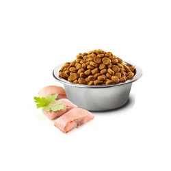 N&D Tahılsız Ocean Ringa Balıklı Portakallı Köpek Maması 2.5Kg - 2