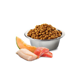 N&D Ocean Somon Balıklı, Morina Balıklı ve Kavunlu Küçük Irk Yetişkin Köpek Maması 2.5 kg - 2