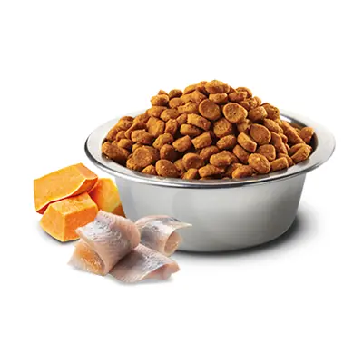 ​N&D Tahılsız Ocean Balkabaklı Ve Morina Balıklı Köpek Maması 12 KG - 3