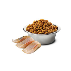 N&D Ocean Ringa Balıklı ve Portakallı Kısırlaştırılmış Kedi Maması 1.5 kg - 2