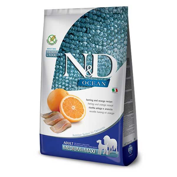 N&D Ocean Ringa Balıklı ve Portakallı Yetişkin Köpek Maması 12 kg - 1