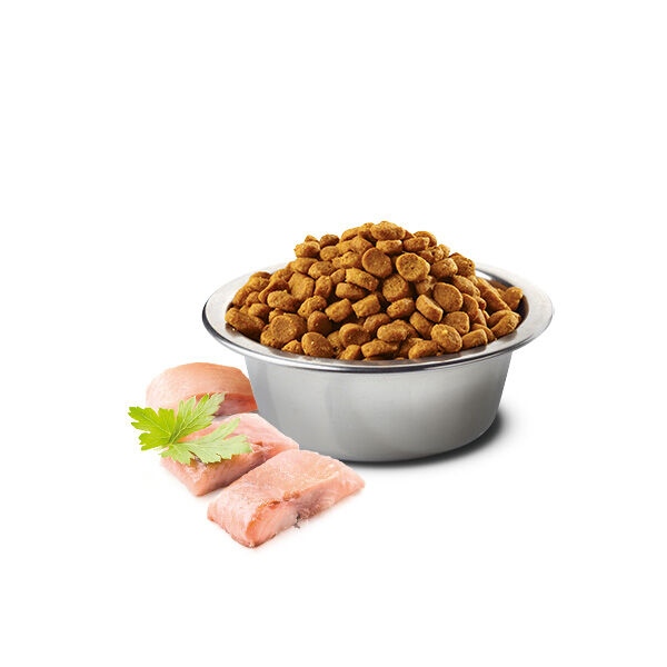 N&D Ocean Ringa Balıklı ve Portakallı Yetişkin Köpek Maması 12 kg - 3