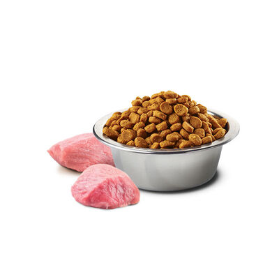 N&D Pumpkin Balkabaklı, Kuzu Etli ve Yaban Mersinli Kısırlaştırılmış Kedi Maması 5 kg - 2