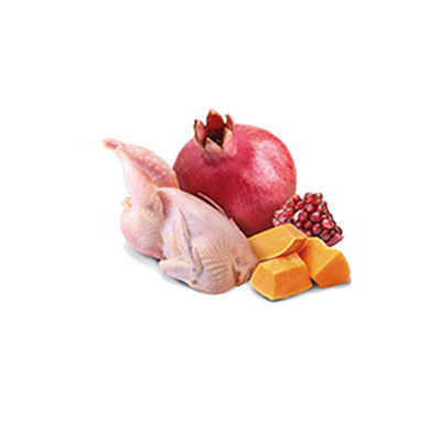N&D Pumpkin Balkabaklı, Bıldırcın Etli Yetişkin Köpek Yaş Maması 285 gr - 3