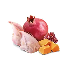 N&D Tahılsız Balkabaklı Bıldırcınlı Kedi Yaş Maması 70 GR - 3