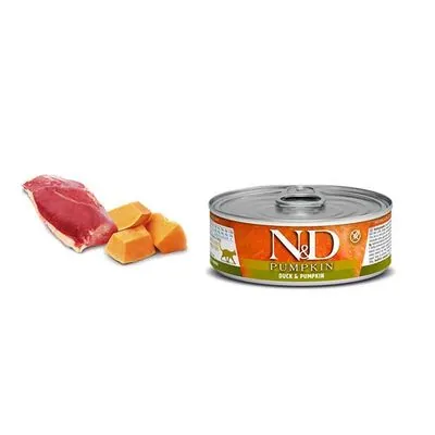 N&D Tahılsız Balkabaklı Ördek Etli Kedi Yaş Maması 70 GR - 3