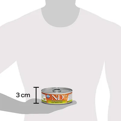 ND Tahılsız Balkabaklı Yaban Domuzu Elmalı Kedi Yaş Maması 80 GR - 2