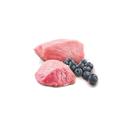 N&D Prime Tahılsız Kuzu Etli ve Yaban Mersinli Küçük Irk Yetişkin Köpek Yaş Maması 140 gr - 2