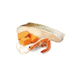 N&D Tahılsız Ocean Bal Kabaklı Balık ve  Karidesli Yavru Kedi Yaş Maması 70 GR - 3