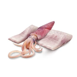 ND Tahılsız Ocean Levrek Ve Mürekkep Balıklı Köpek Konservesi 140 GR - 2