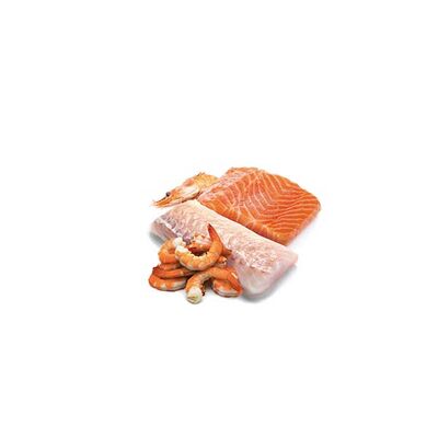 ND Tahılsız Ocean Somon Morina Balığı Ve Karidesli Kedi Yaş Maması 80 GR - 3