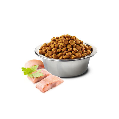 N&D Ocean Ringa Balıklı ve Portakallı Küçük Irk Yetişkin Köpek Maması 2.5 kg - 2