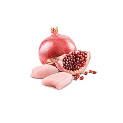 N&D Tahılsız Tavuk Narlı Yavru Kedi Yaş Maması 70 GR - 3