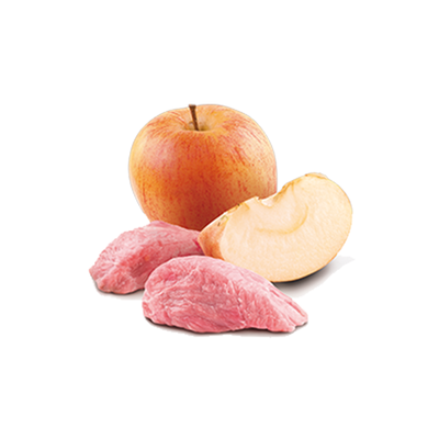 N&D Prime Tahılsız Domuz Etli ve Elmalı Yetişkin Köpek Yaş Maması 285 gr - 3