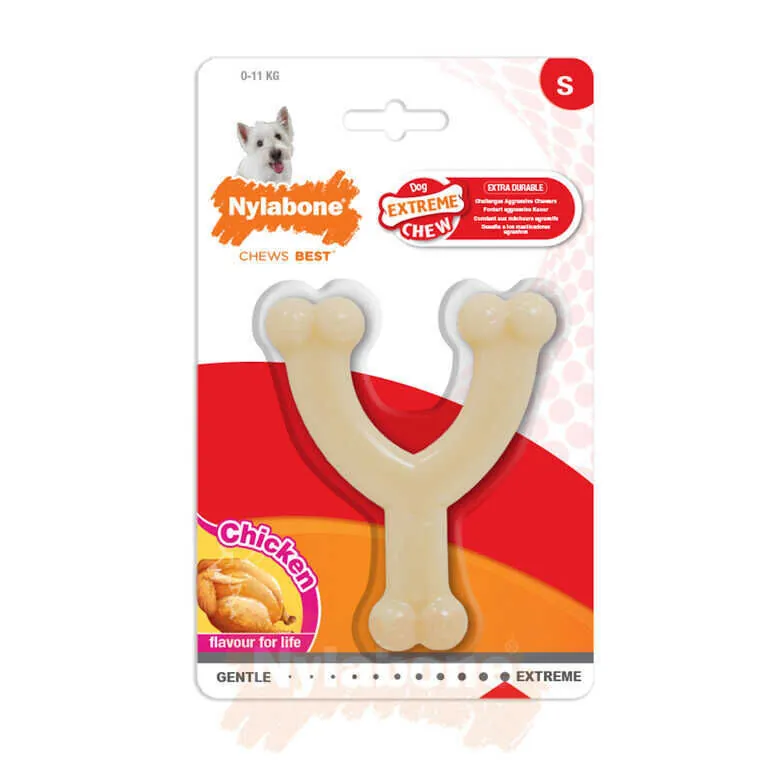Nylabone Tavuk Aromalı Köpek Çiğneme Kemiği S - 1