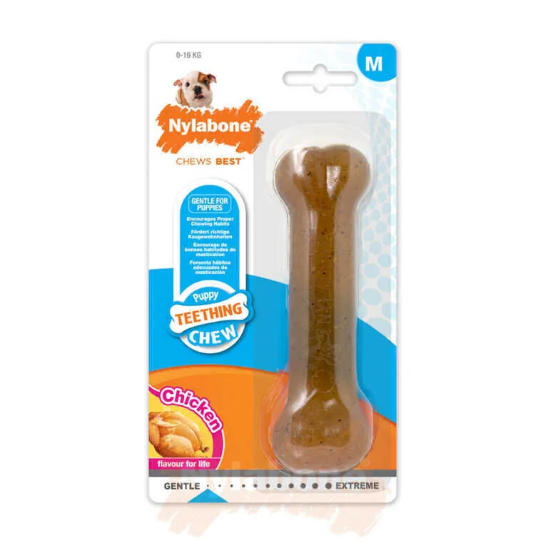 Nylabone Tavuk Aromalı Yavru Köpek Çiğneme Kemiği M - 1