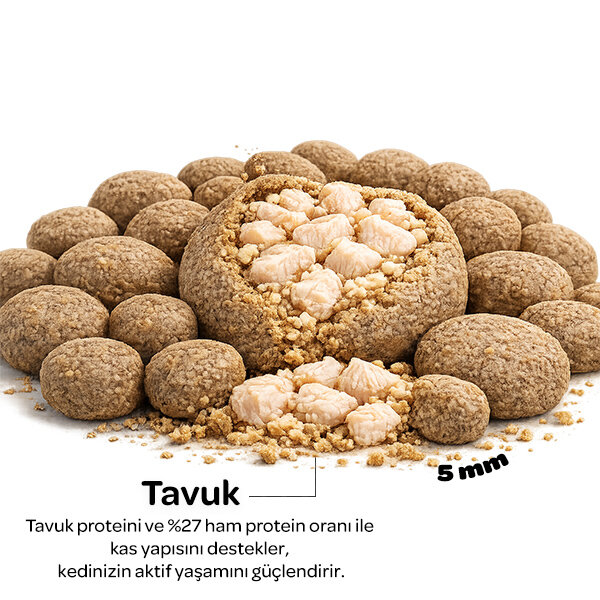 Obivan Tavuklu Yetişkin Kedi Maması 10kg - 3