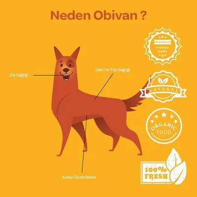 ​Obivan Beyaz Kemik Köpek Ödülü 25 GR 7 CM 20 li - 2
