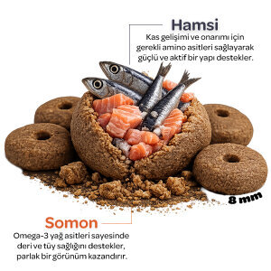 Obivan Hypoallergenic Somonlu ve Hamsili Yetişkin Köpek Maması 15 Kg - 3