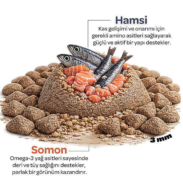 Obivan Kitten Somonlu ve Hamsili Yavru Kedi Maması 6 Kg - 3