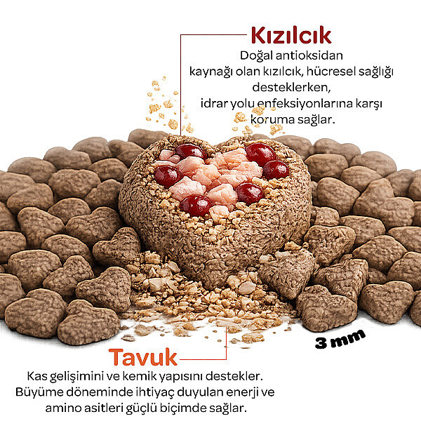 Obivan Kitten Tavuklu ve Kızılcıklı Yavru Kedi Maması 6 kg - 3
