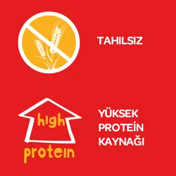 Obivan Kurutulmuş Dana Kuyruk Disk Köpek Ödülü 100 GR - 3