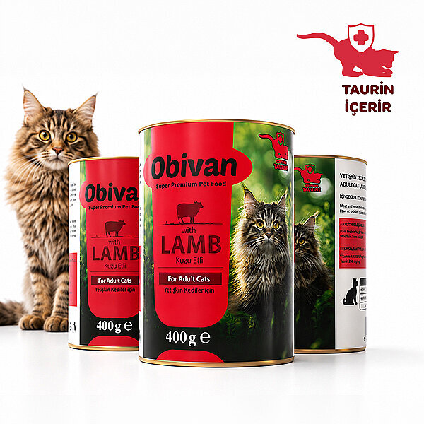 Obivan Kuzu Etli Sos İçinde Gravy Yetişkin Kedi Konservesi 400 gr x 6 Adet - 3