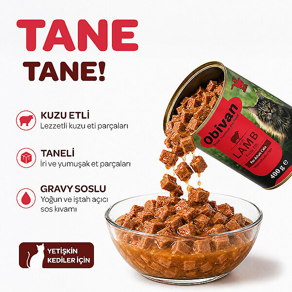 Obivan Kuzu Etli Sos İçinde Gravy Yetişkin Kedi Konservesi 400 gr x 6 Adet - 2