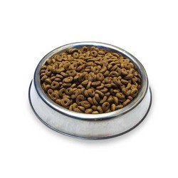 Obivan Kuzu Etli ve Yaban Mersinli Yetişkin Kedi Maması 10kg - 2