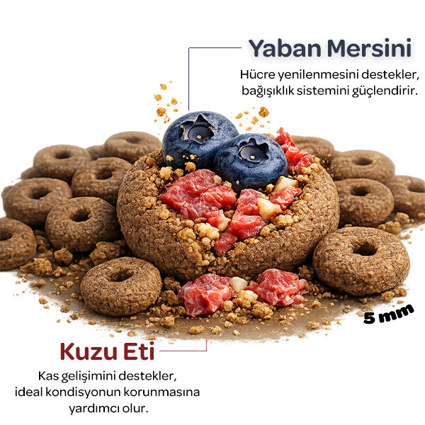 Obivan Kuzu Etli ve Yaban Mersinli Yetişkin Kedi Maması 10kg - 3