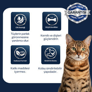 Obivan Kuzu Etli ve Yaban Mersinli Yetişkin Kedi Maması 10kg - 6