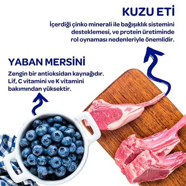 Obivan Kuzu Etli ve Yaban Mersinli Yetişkin Köpek Maması 15 Kg - 5
