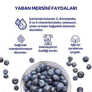 Obivan Kuzu Etli ve Yaban Mersinli Yetişkin Köpek Maması 15 Kg - 6