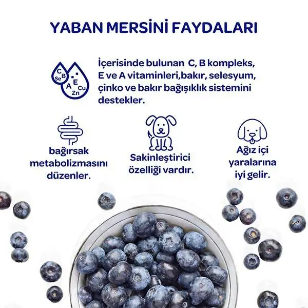 Obivan Kuzu Etli ve Yaban Mersinli Yetişkin Köpek Maması 15 Kg - 6