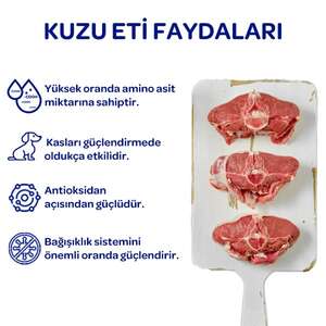 Obivan Kuzu Etli ve Yaban Mersinli Yetişkin Köpek Maması 15 Kg - 7