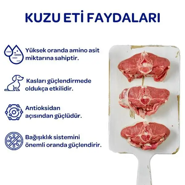 Obivan Kuzu Etli ve Yaban Mersinli Yetişkin Köpek Maması 15 Kg - 7