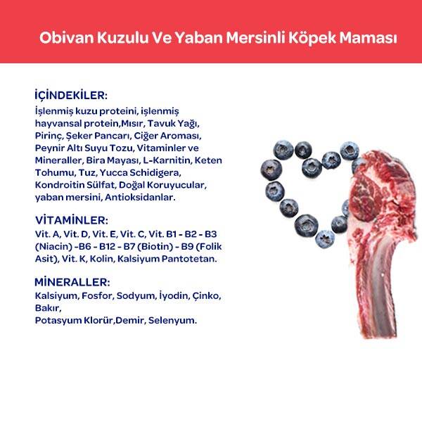 Obivan Kuzu Etli ve Yaban Mersinli Yetişkin Köpek Maması 15 Kg - 8