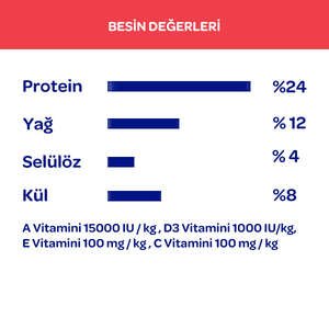 Obivan Kuzu Etli ve Yaban Mersinli Yetişkin Köpek Maması 15 Kg - 9