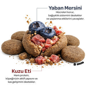 Obivan Kuzu Etli ve Yaban Mersinli Yetişkin Köpek Maması 15 Kg - 3