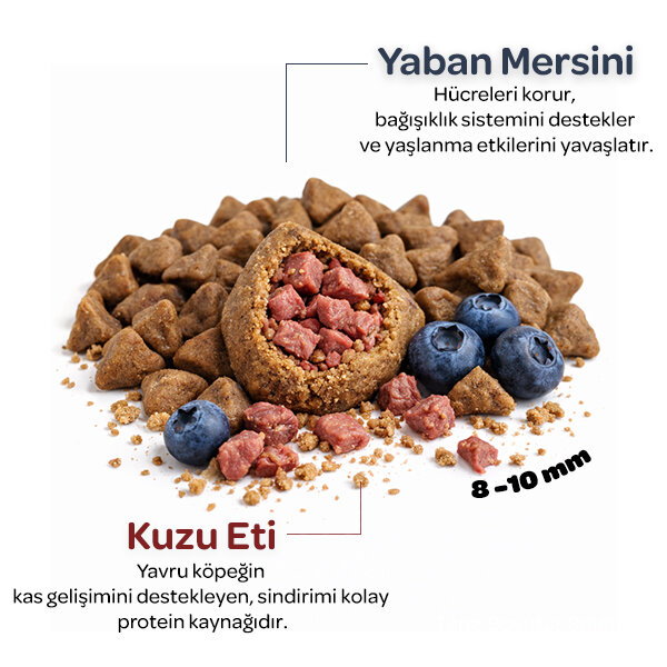 Obivan Puppy Kuzu Etli ve Yaban Mersinli Yavru Köpek Maması 15 Kg - 3