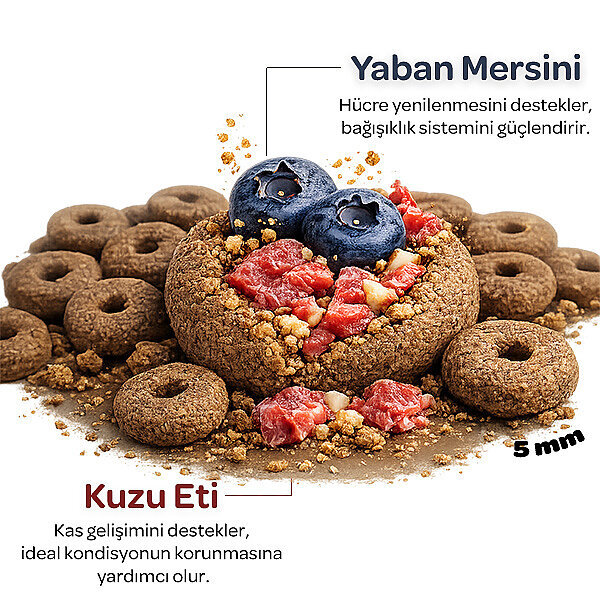 Obivan Kuzu Etli ve Yaban Mersinli Yetişkin Kedi Maması 2 kg - 3