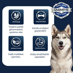 Obivan Kuzu Etli Yaşlı Köpek Maması 15 kg - 4