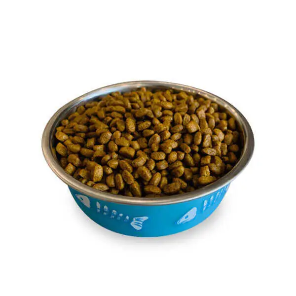 Obivan Selection Kitten Düşük Tahıllı Kuzu Etli Yavru Kedi Maması 1 kg (4 adet) - 4
