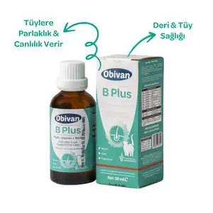 Obivan Tüy Sağlığını Destekleyici Kediler İçin Multivitamin Damla 50 ML - 4