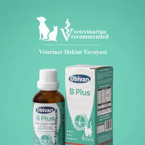 Obivan Tüy Sağlığını Destekleyici Kediler İçin Multivitamin Damla 50 ML - 5