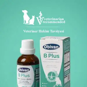 Obivan Tüy Sağlığını Destekleyici Köpekler İçin Multivitamin Damla - 3