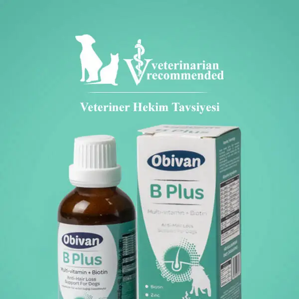 Obivan Tüy Sağlığını Destekleyici Köpekler İçin Multivitamin Damla - 3